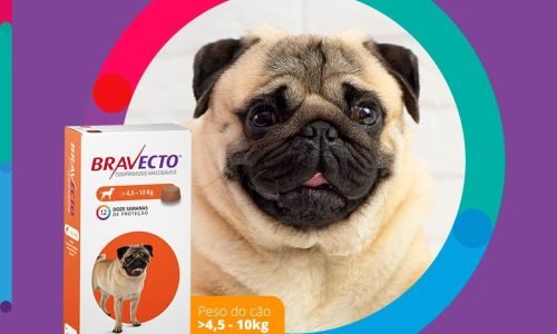 antipulgas e carrapatos

melhor antipulgas para cachorro

melhor antipulgas para gatos

proteção contra pulgas e carrapatos

como acabar com pulgas e carrapatos

antipulgas coleira

comprimido antipulgas

tratamento antipulgas

prevenção antipulgas

como proteger cachorro de pulgas

como proteger gato de pulgas

remédio para carrapatos

produto para pulgas e carrapatos

prevenção de carrapatos

cuidados contra pulgas

melhores antipulgas do mercado

antipulgas Bravecto

antipulgas NexGard

antipulgas Simparic

como aplicar antipulgas

antipulgas preço

coleira antipulgas e carrapatos

spray antipulgas

solução tópica antipulgas

tratamento contra carrapatos

como acabar com carrapatos no quintal

dicas contra pulgas

controle de pulgas e carrapatos

remédio natural para pulgas

antipulgas duradouro